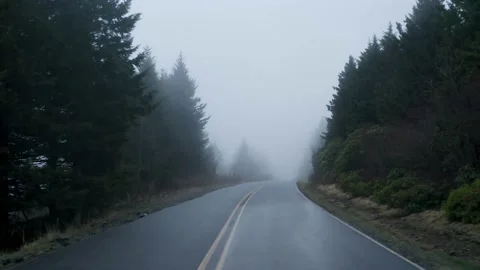 Foggy Highway Stock Footage 197387592