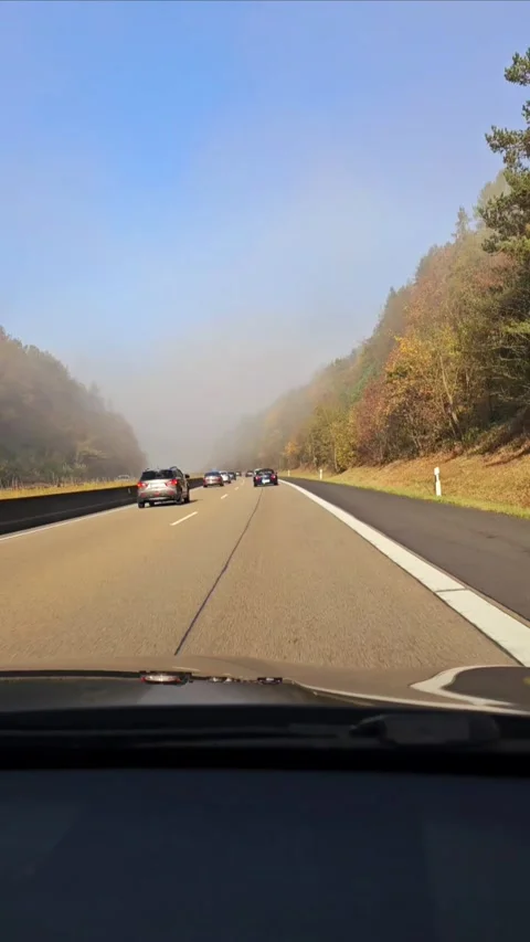 On a foggy highway, through lush greenery. Typical road conditions and role of Stock Footage 308413327