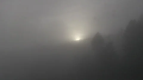 Foggy hillside and trees with sun 스톡 동영상 36638192