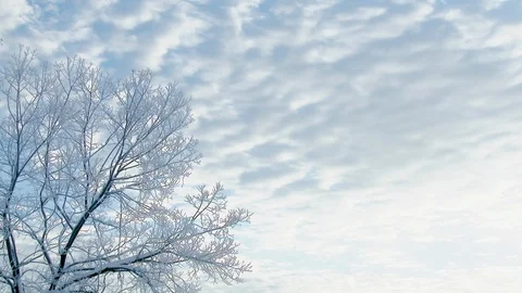 Foggy ice on trees and cloud - time lapse, Hakuba, Nagano Prefecture, Japan. Stock Footage 100997601