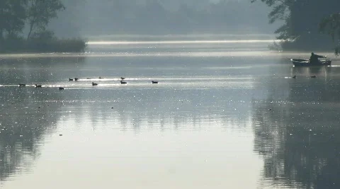 Foggy lake Stock Footage 852242