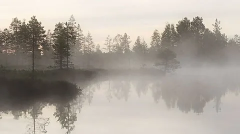 Foggy lake Stock Footage 8519998