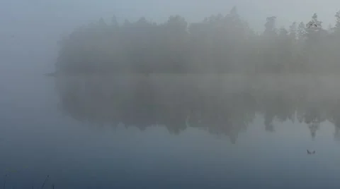 Foggy Lake Stock Footage 41168135