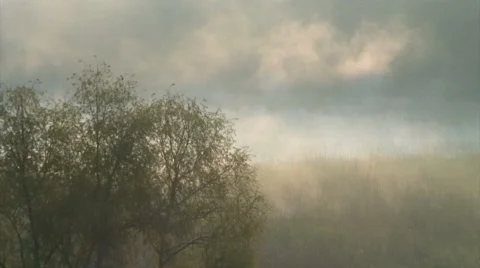 Foggy lake 動画素材 48577388