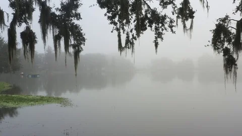 Foggy Lake Stock Footage 101189671