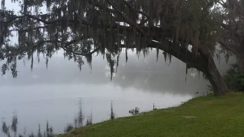 Foggy Lake Stock Footage 101189879