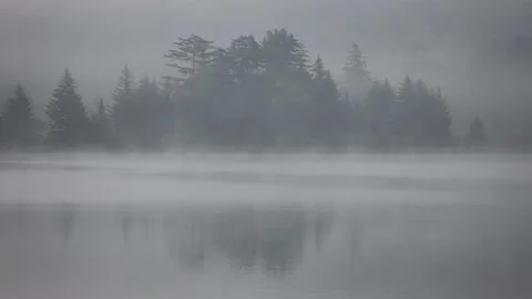 Foggy lake Stock Footage 161054089