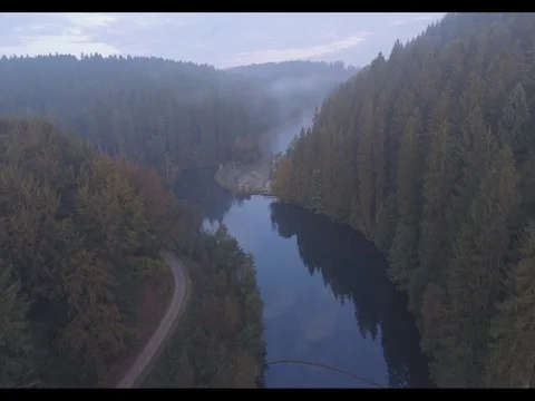 Foggy lake in the morgnin with it's reflections Stock Footage 77063302