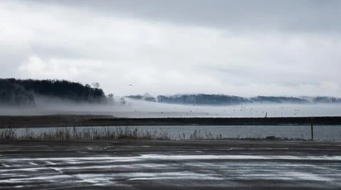 Foggy Lake Stock Photos