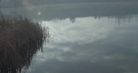 Foggy lake surface by cold winter morning 5.7K video Stock Footage 299832642