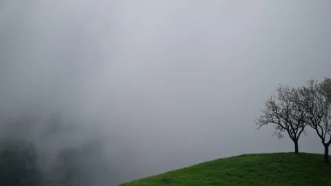 Foggy Landscape with Bare Trees on Hill in Misty Atmosphere 스톡 동영상 320830627