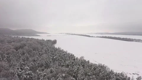 The foggy landscape with evergreen pine trees covered snow after heavy snowfall Stock Footage 166802001
