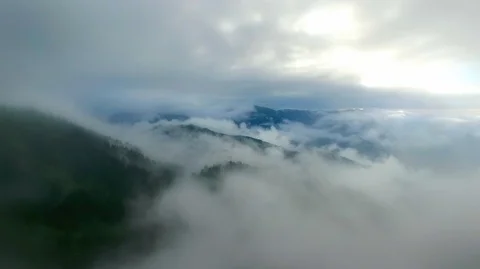 Foggy landscape 库存影片 94538540