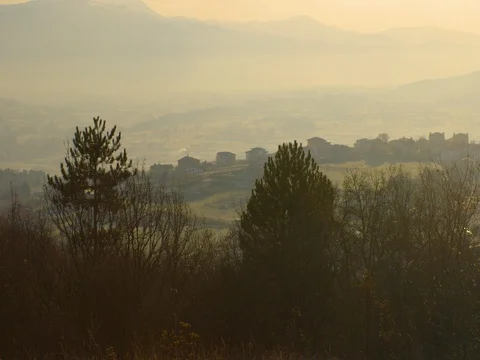 Foggy landscape of the forest with Trees in forhead Stock Footage 71942991