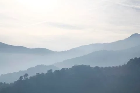 Foggy landscape Stock Photos