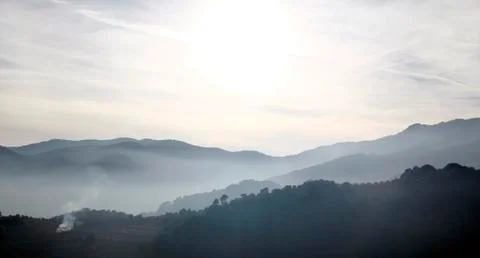 Foggy landscape Stock Photos