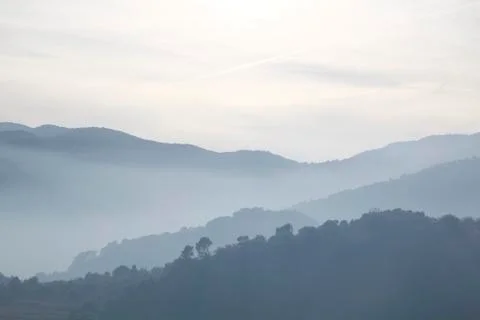Foggy landscape Stock Photos