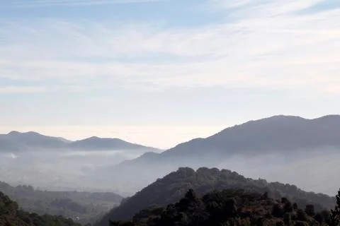 Foggy landscape Stock Photos