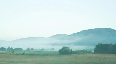 Foggy landscape Stock Photos