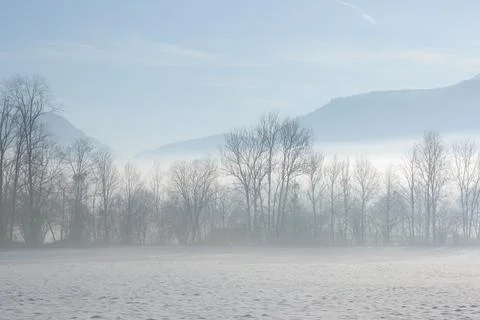 Foggy landscape Stock Photos