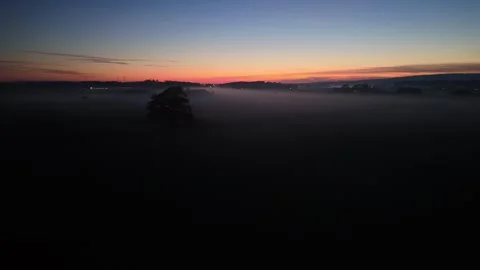 Foggy Landscape with Tree at Dawn Stockbeeldmateriaal 332585980