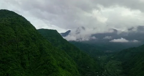 Foggy landscape tropical rain forest jungle island Bali on background majestic Stock-Footage 236181789