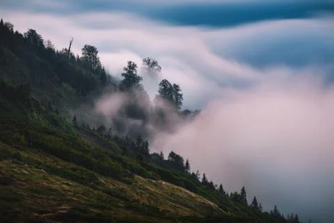 Foggy Mauntain Stock Photos