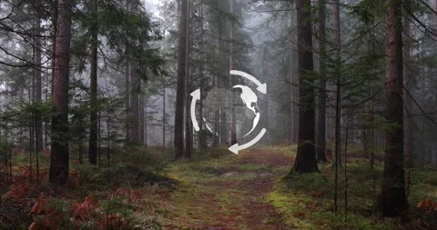 Foggy misty woods with path and animated 3d earth planet with rotating arrow Stock Footage 344140216