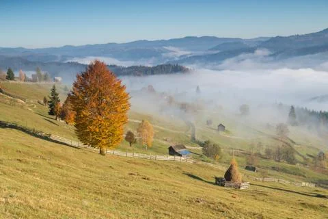 Foggy morning in Bucovina. Autumn colorful landscape in the romanian village Stock Photos