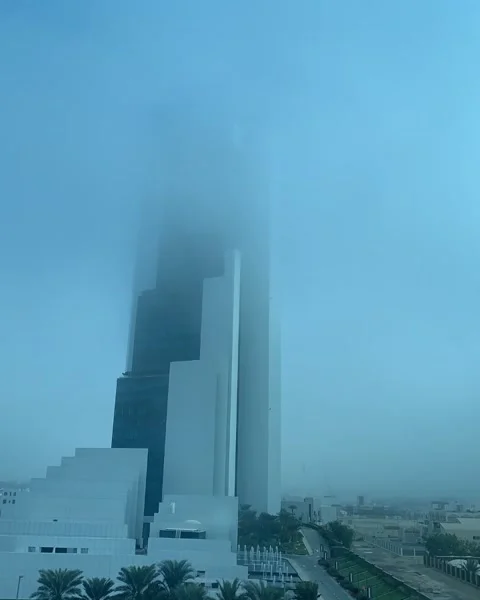 Foggy Morning Stock Footage 144483992