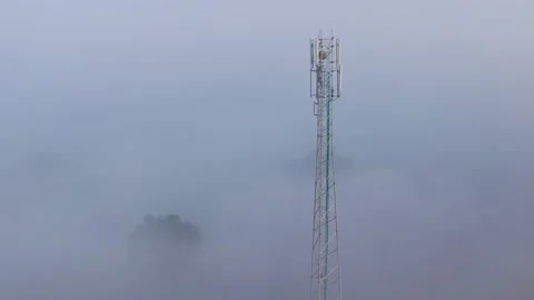 Foggy Morning Stock Footage 163186595