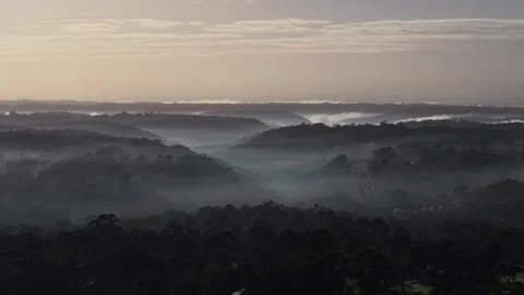 Foggy morning Stock Footage 337280477
