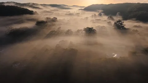 Foggy Morning Stock Footage 338217685