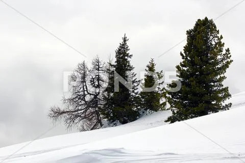 Foggy morning up in the mountains Stock Photos