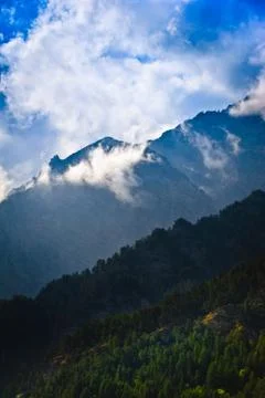 Foggy morning Foto stock