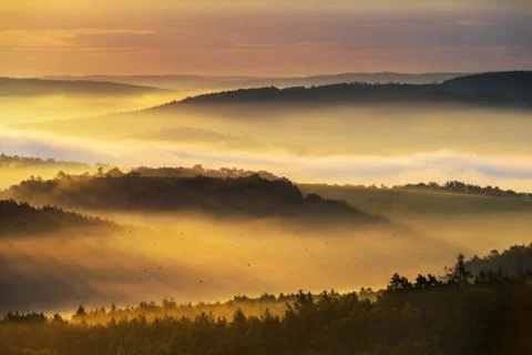 Foggy morning Stock Photos