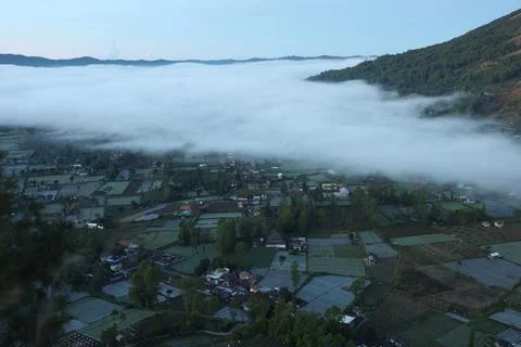 Foggy morning Stock Photos