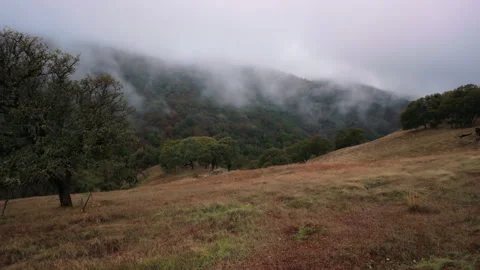 Foggy Mountain With Dense Forest In Del Valle Regional Park In California. - 스톡 동영상 331038474