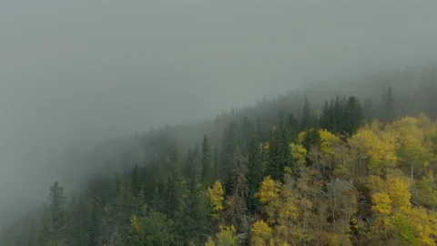 Foggy Mountain Fall Yellow Trees Cloudy Moody View Mountain Stock Footage 192800045