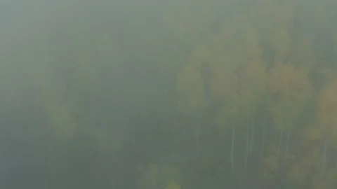 Foggy Mountain Fall Yellow Trees Cloudy Moody View Mountain Stockbeeldmateriaal 192973182