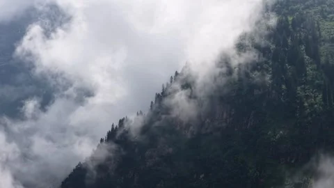 Foggy mountain forest with clouds moving over the pine trees Stock Footage 317515952
