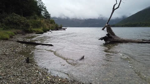 Foggy mountain lake Stock Footage 150185213