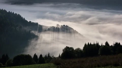 Foggy mountain landscape with trees emerging from mist timelapse Stock-Footage 317677799