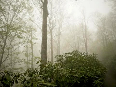 Foggy mountain Stock-Fotos