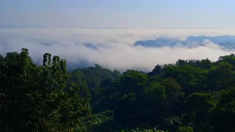Foggy mountain range with trees and blue sky Stock Footage 330467520