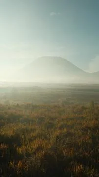 A foggy mountain range is visible in the distance Stock Photos