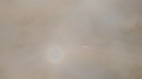Foggy Mountain Road featuring Vehicles navigating through Misty Conditions and Stock Footage 324621407