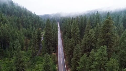 Foggy mountain road Stock Footage 285303228