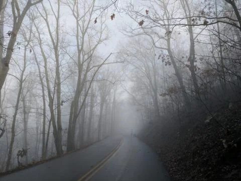 Foggy Mountain Road Stock Photos