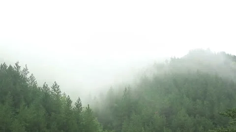 Foggy mountain timelapse Stock Footage 25471634
